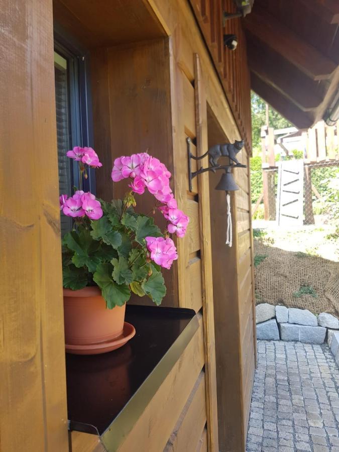 Roubenka Strma Villa Jeseník Exterior foto